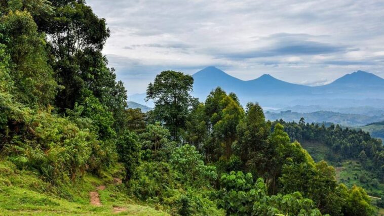 Uganda listed in best countries to be visited 2023 CNN
