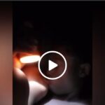VIDEO: Watch Ugandan Tiktok couple chew themselves live VIDEO: Watch Ugandan Tiktok couple chew themselves live