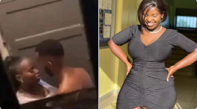 VIDEO: Should it be closed? Here is all you need to know about Nampeera’s toilet VIDEO: Should it be closed? Here is all you need to know about Nampeera’s toilet